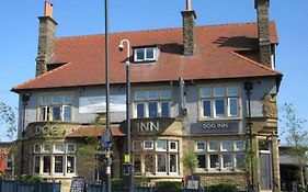 The Dog Inn